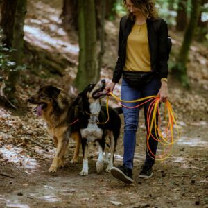 Kurs behawiorysty psów IV edycja
